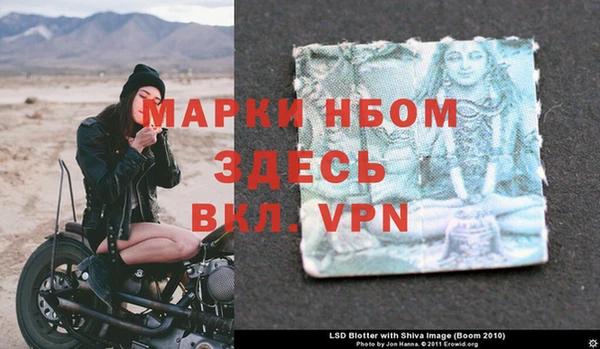 стафф Алексин