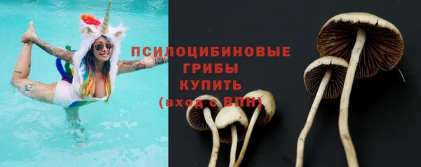 стафф Алексин