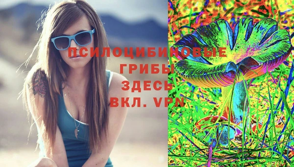 стафф Алексин